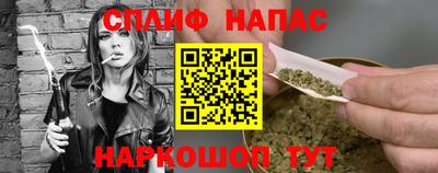 шишки Кинель