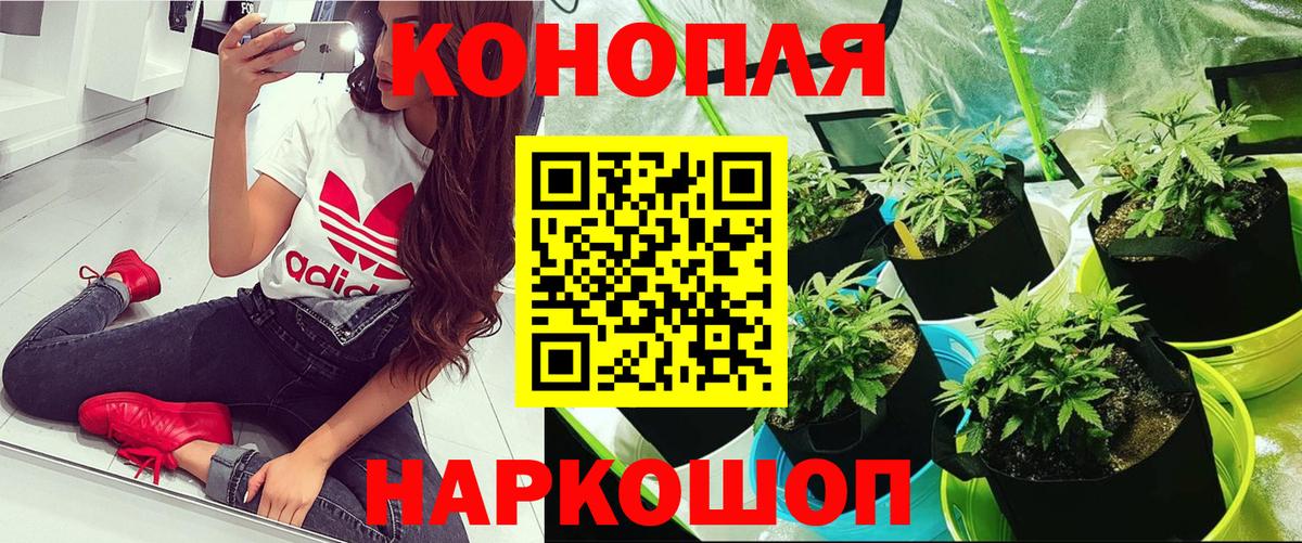 Конопля THC 21%  Вход с VPN  Бошки марихуана VHQ  Бошки Шишки конопля  Вятские Поляны 
